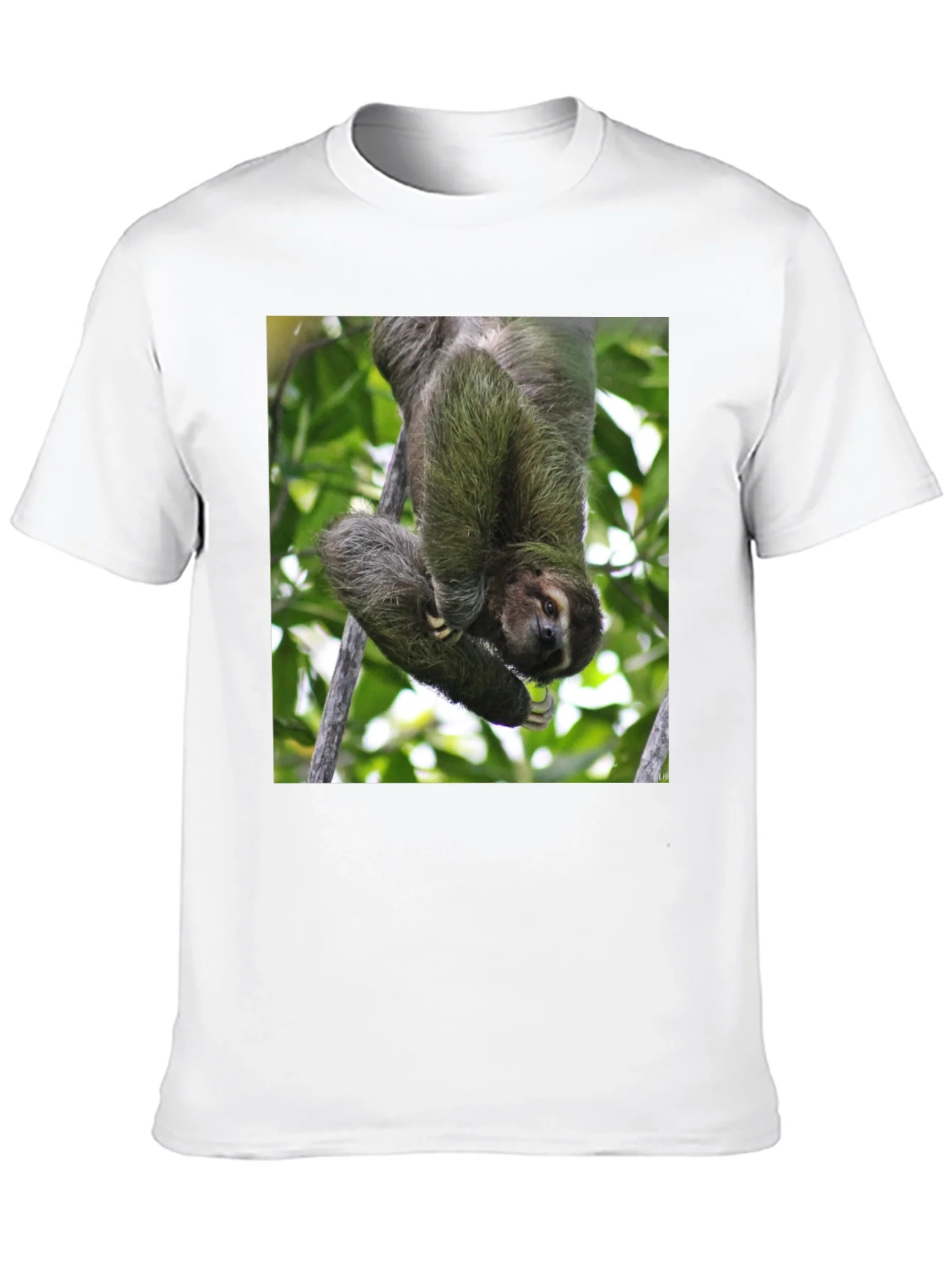 Camiseta Negra con Dise?o de Perezoso Colgando