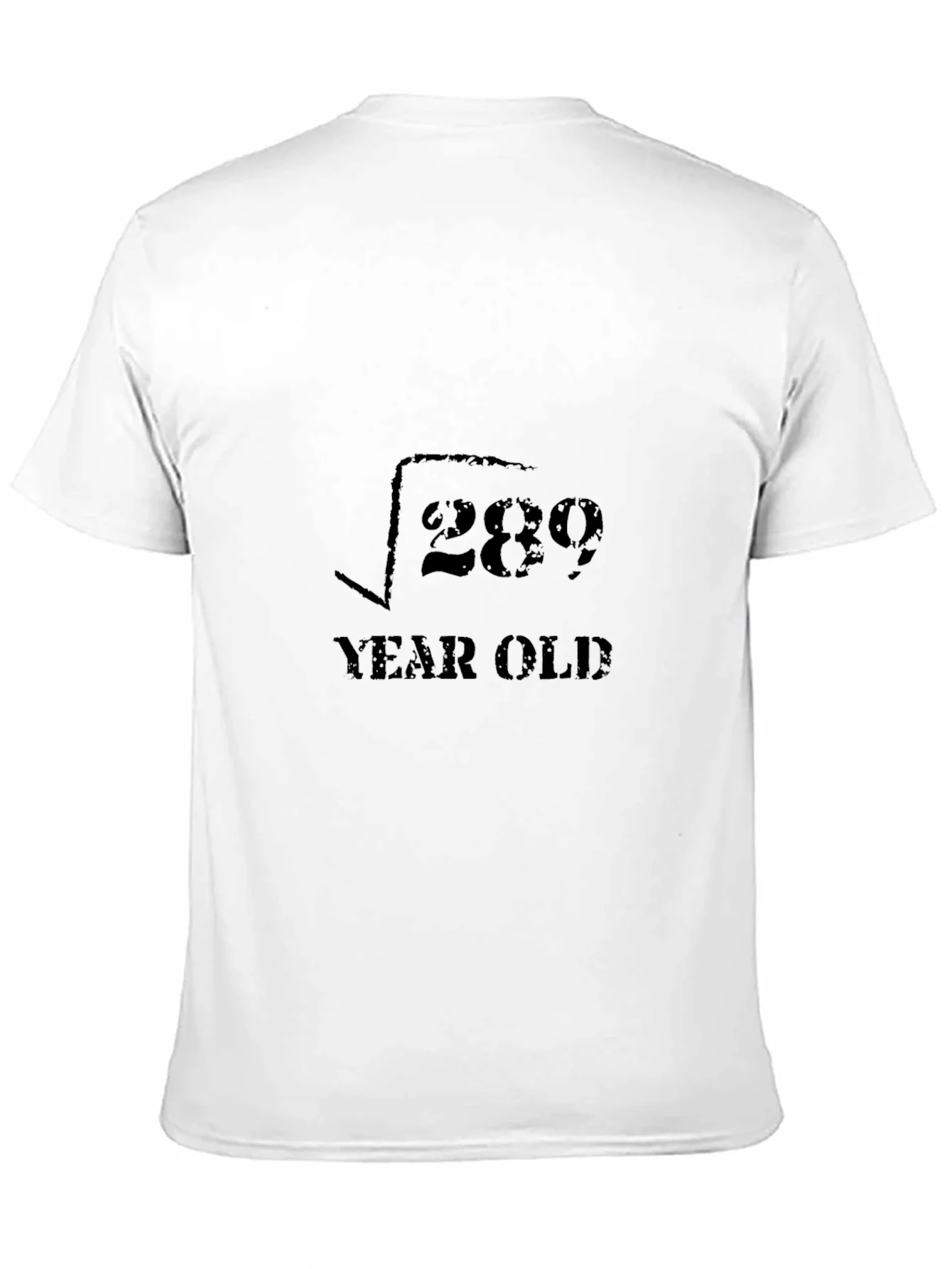 Rebbecca Funny Math 17 Year Old Birthday T-Shirt