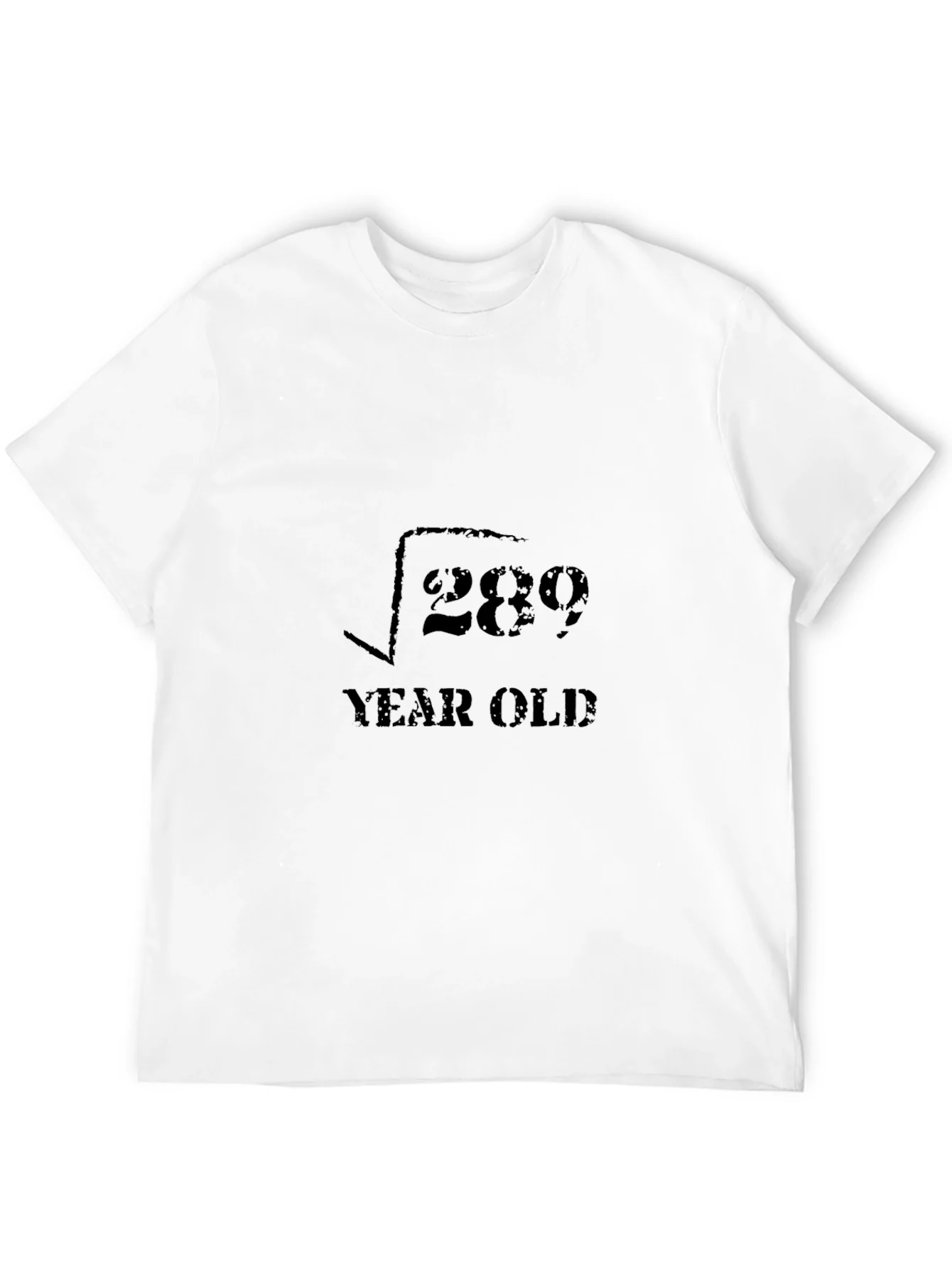 Rebbecca Funny Math 17 Year Old Birthday T-Shirt