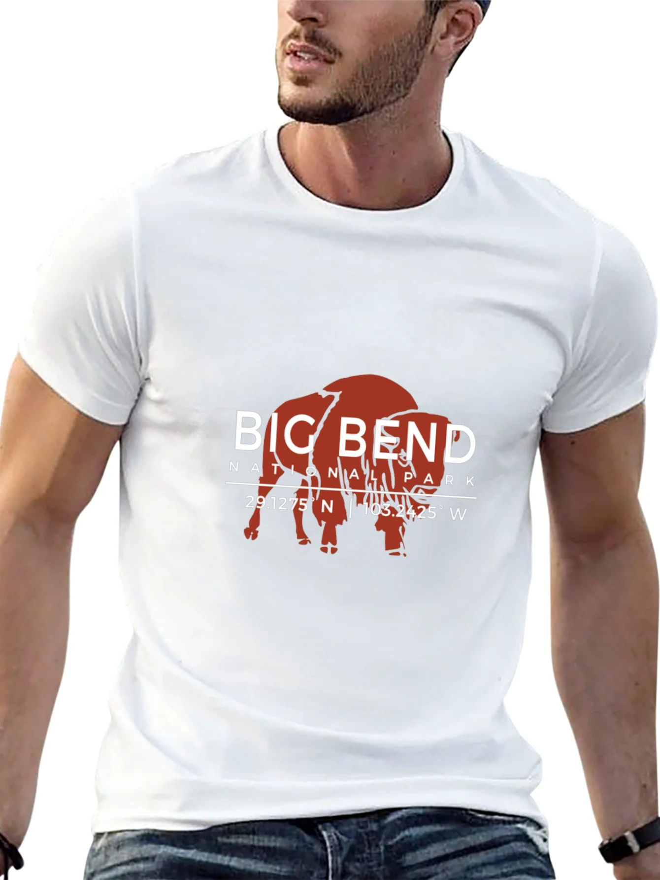 Camiseta Big Bend National Park