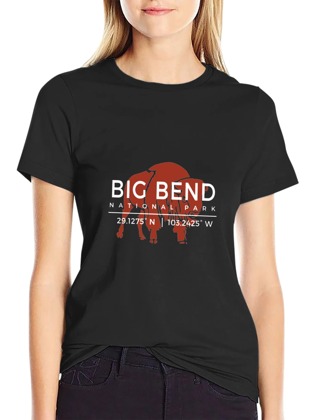 Camiseta Big Bend National Park