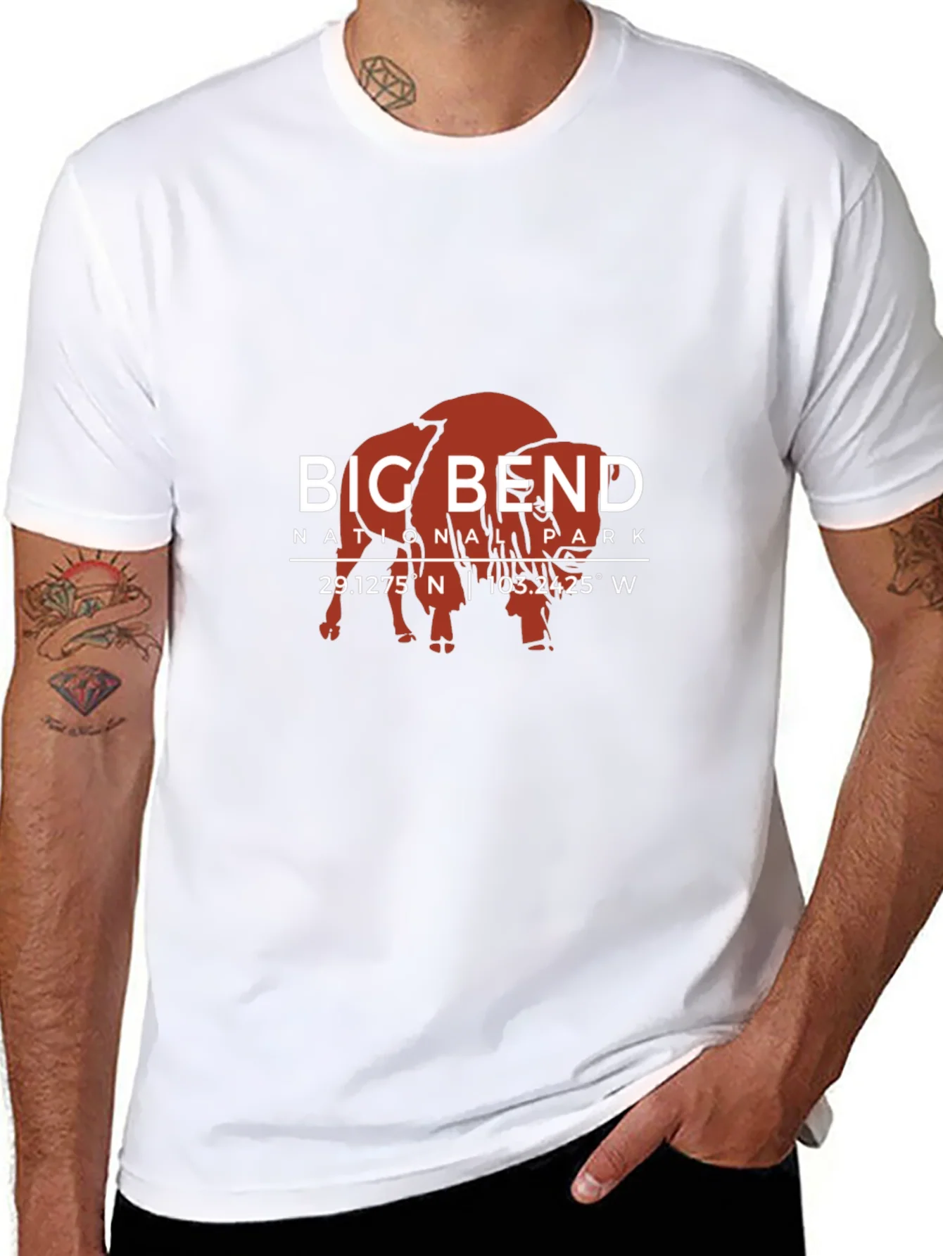 Camiseta Big Bend National Park