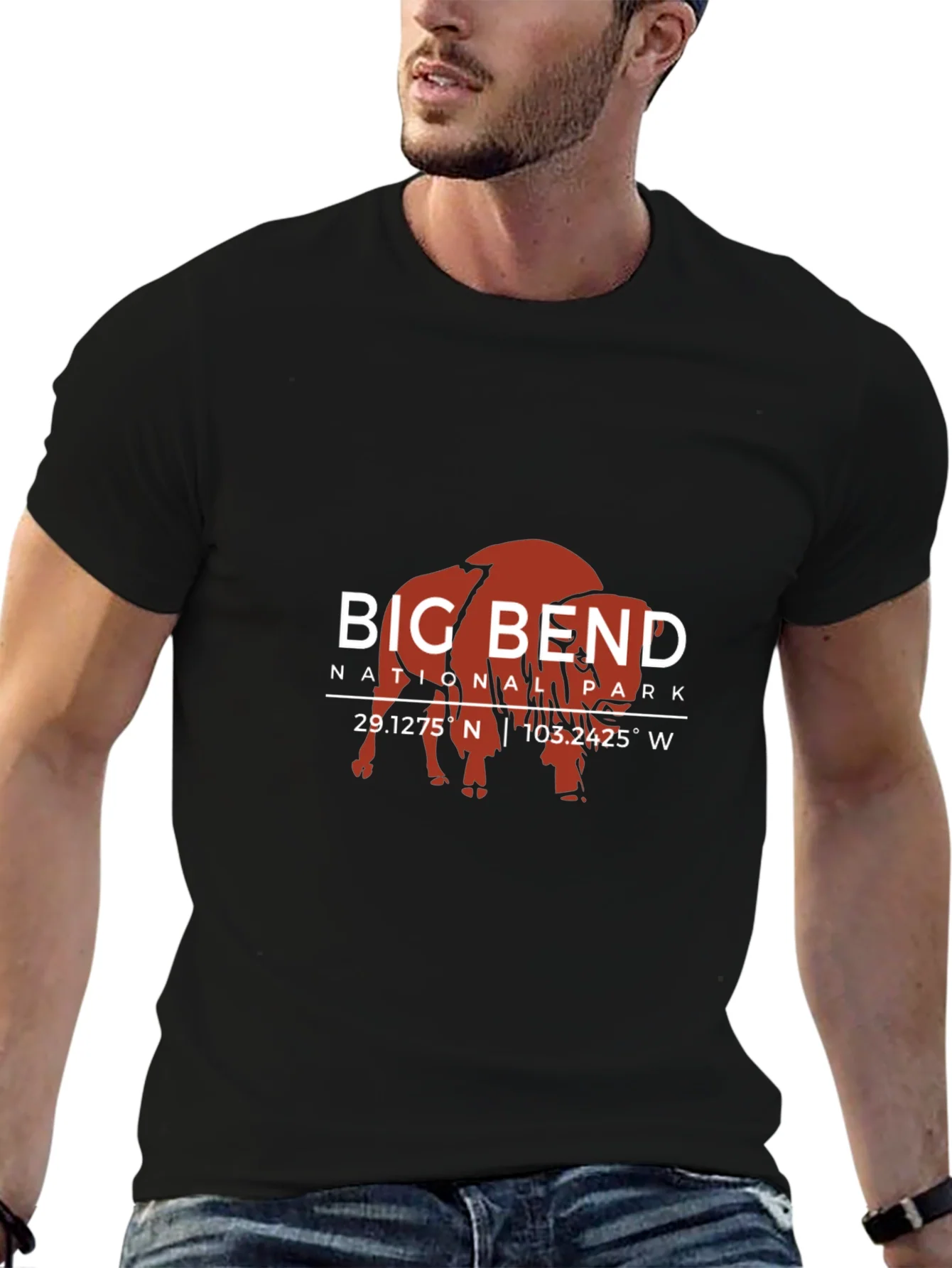 Camiseta Big Bend National Park