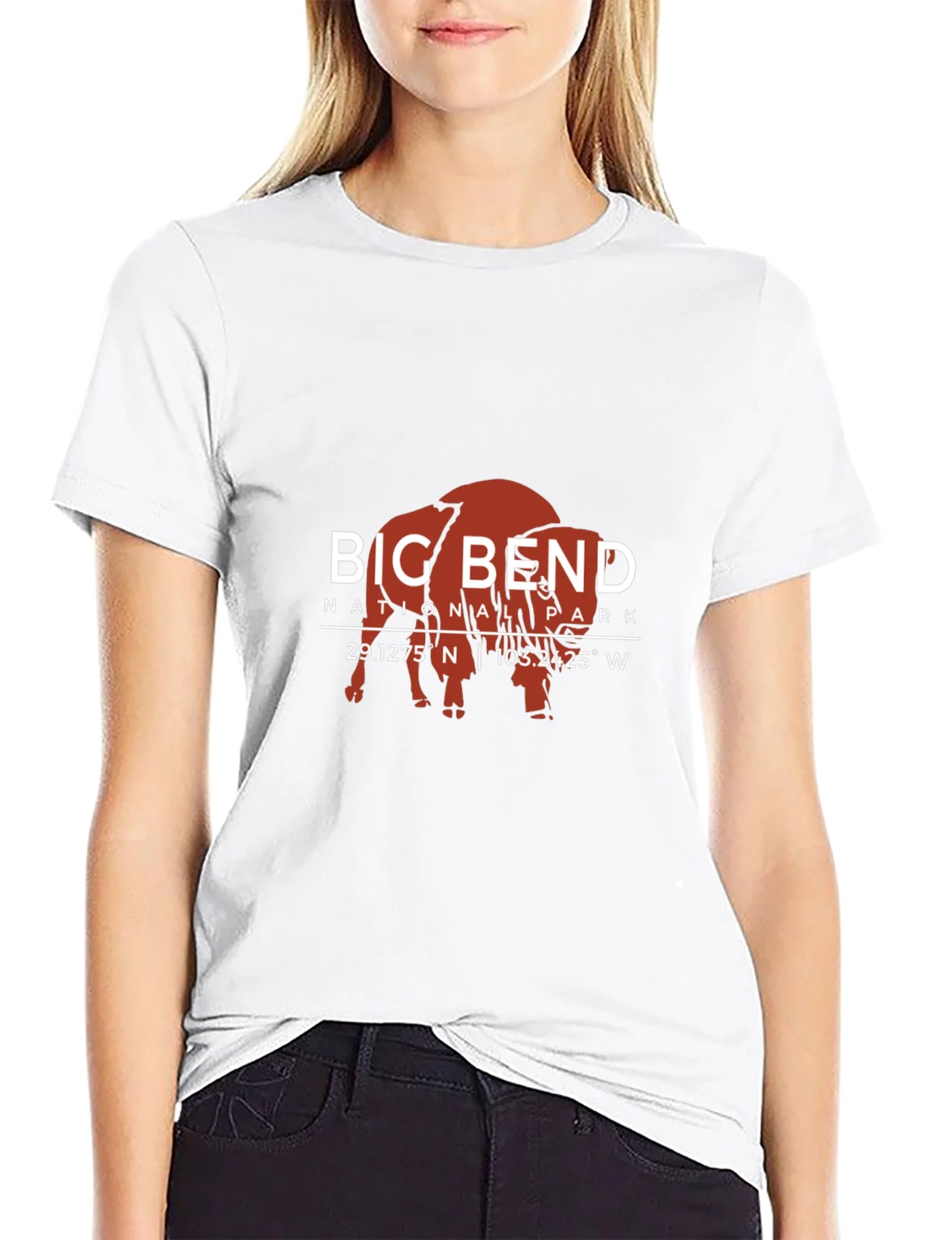 Camiseta Big Bend National Park