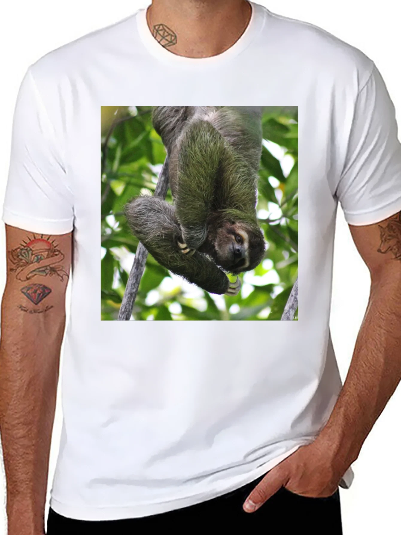 Camiseta Negra con Dise?o de Perezoso Colgando